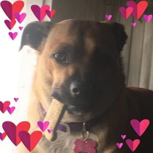 Meet your Posher, Roxann